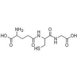 谷胱甘肽