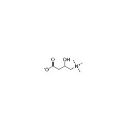 L-Carnitine