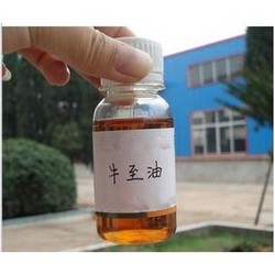 牛至油 Origano Oil CAS:8007-11-2