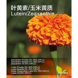 葉黃素 萬(wàn)壽菊提取物