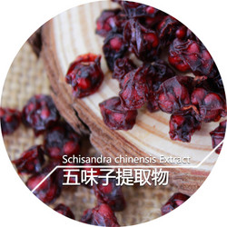 五味子提取物