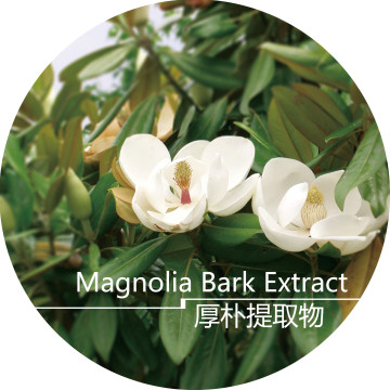 厚朴提取物