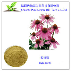 種植，生產(chǎn)，銷售一體的紫錐菊提取物