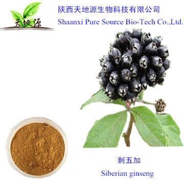 提供优质刺五加提取物