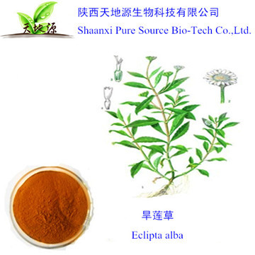 墨旱莲草提取物