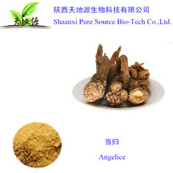 廠家現(xiàn)貨供應(yīng)優(yōu)質(zhì)當(dāng)歸提取物