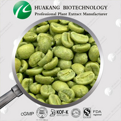 绿咖啡豆提取物 绿原酸10% ~ 50%