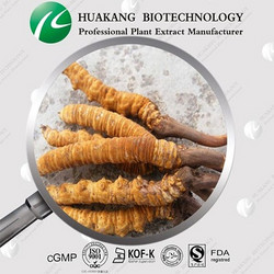 蟲(chóng)草提取，蟲(chóng)草多糖30%，蟲(chóng)草素