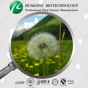 plant extract Dandelion extract flavonoids powder