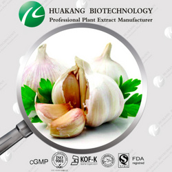 Garlic Extract Allicin powder
