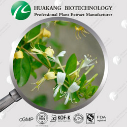 Honey Suckle Flower Dry Extract