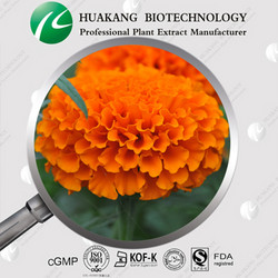 廠(chǎng)商直接供應萬(wàn)壽菊提取物 葉黃素