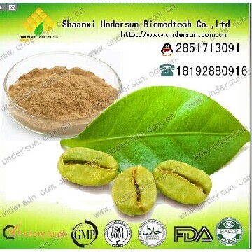 绿咖啡豆提取物
