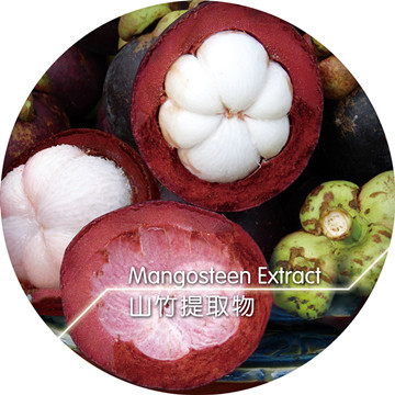 山竹提取物