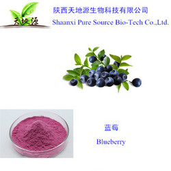 陕西天地源现货供应蓝莓提取物，蓝莓果粉