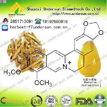 鹽酸小檗堿