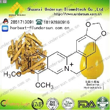 盐酸小檗碱