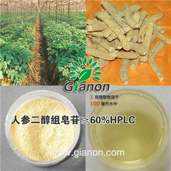 西洋参二醇组皂甙 60%HPLC 西洋参来源