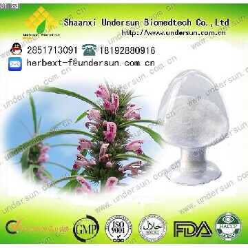 益母草提取物