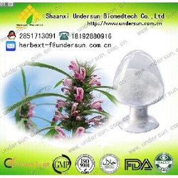 益母草提取物
