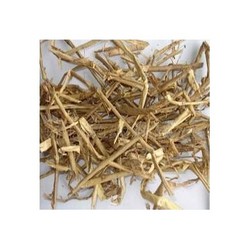 廠家供應(yīng)白柳皮提取物