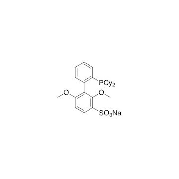 2'-二环己基-2,6-二甲氧基-3-磺酸- 1,1'-联苯水合物钠盐