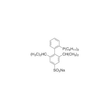2'-二环己基膦基-2,6-二-I-丙基-4-磺酸根-1,1'-联苯钠水合物