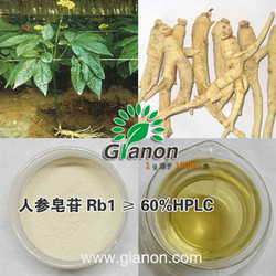 人参皂苷 Rb1>40%HPLC ginsenoside Rb1