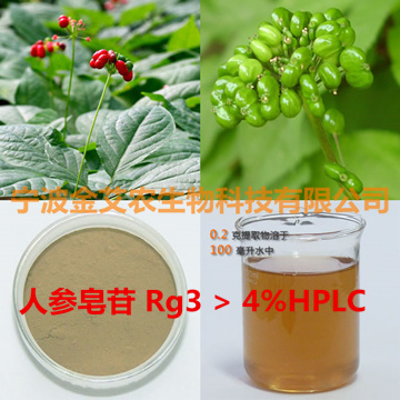 人参皂苷 Rg3 5-90%HPLC人参皂甙