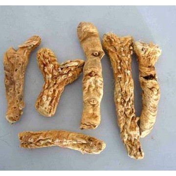 知母提取物