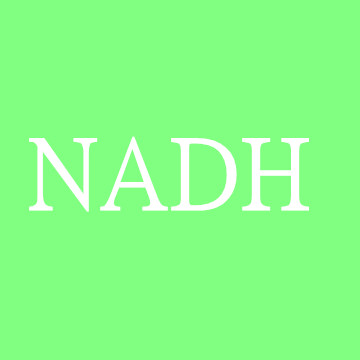還原型輔酶  NADH