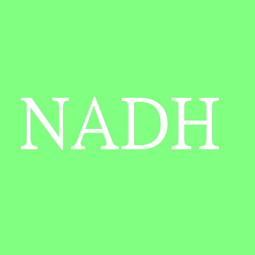 还原型辅酶  NADH