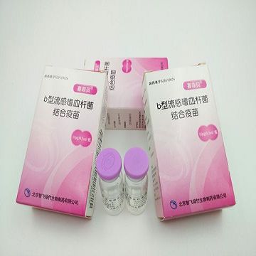 Haemophilus Influenzae Type b Conjugate Vaccine