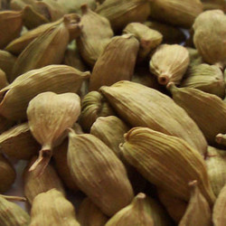 小豆蔻提取物
