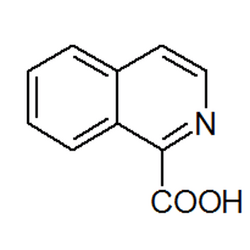 異喹啉-1-羧酸