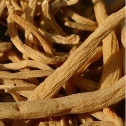 太子参提取物