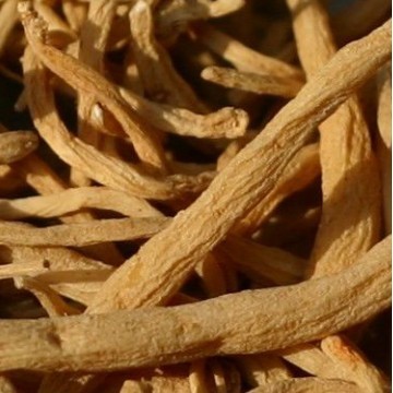 太子参提取物