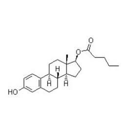 雌二醇戊酸酯
