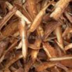 松樹(shù)皮提取物 原花青素95%