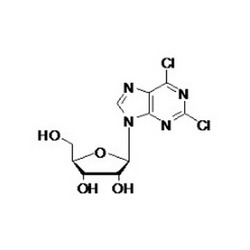2, 6-二氯嘌呤核苷