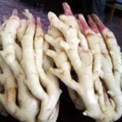 生姜提取物