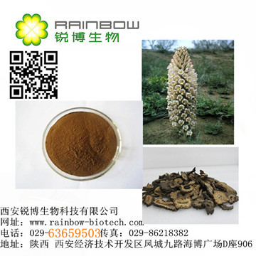 管花肉苁蓉提取物