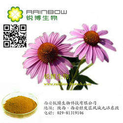 紫锥菊提取物