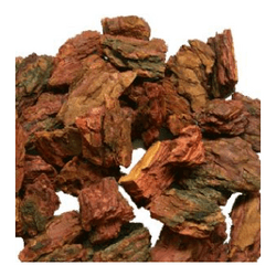 松樹皮提取物