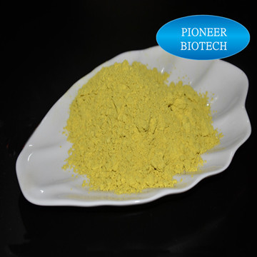 蜂花粉Bee pollen