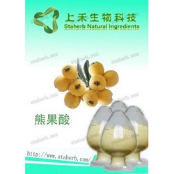 廠家供應(yīng)枇杷葉提取物 抗氧化，美白祛斑圣品 熊果酸25% 50% 90% 98%