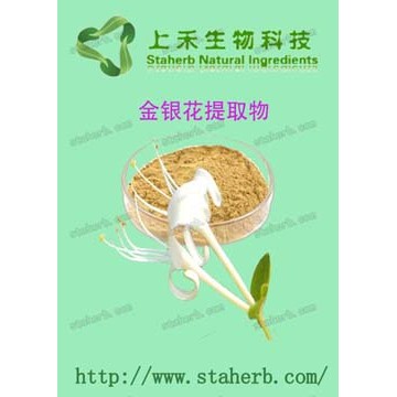 杜仲、金银花提取物绿原酸 绿原酸标准品 厂家直供优质优价绿原酸