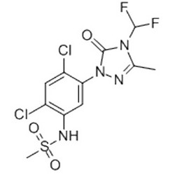 甲基磺酰甲胺