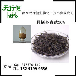 苦丁茶提取物 紫丁香甙1%