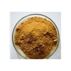 當(dāng)歸提取物Dong Quai （Angelica sinensis）E.P.